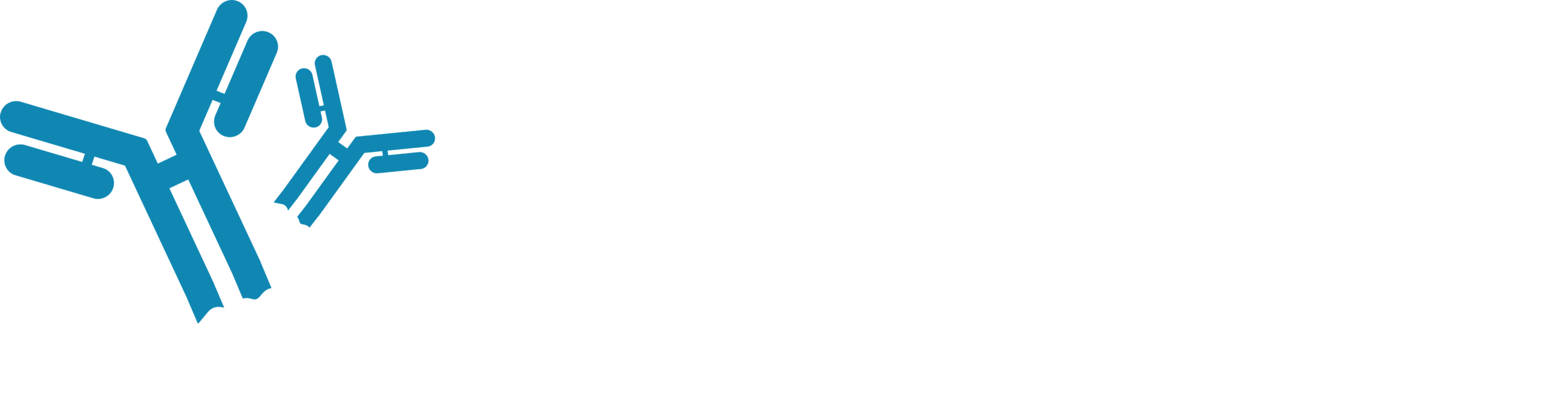 HW260908 76093 - 9th Treg-Directed Therapies Summit logo W